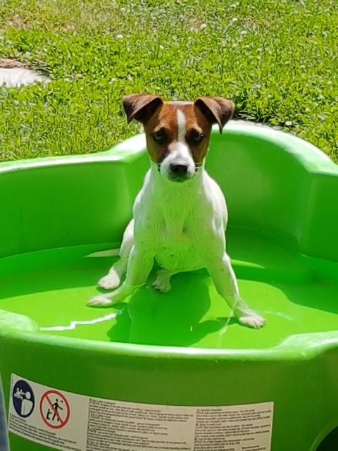 Die kleine Tiffany bei einer kleinen Abkühlung im Sommer | Foto: Sonja Gosch