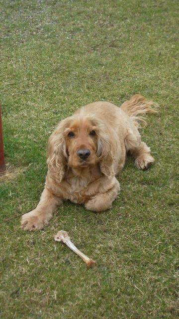 Max ist ein richtiges Schleckermäulchen | Foto: Herbert Kienast