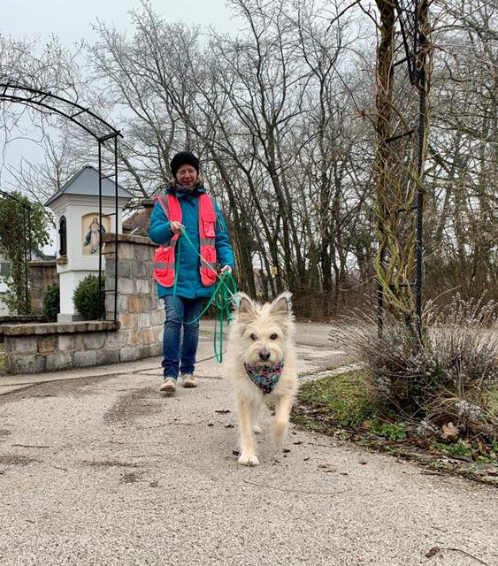 Von der schweren Zeit im Tierheim merkt man Yoda nichts mehr an | Foto: Agnes Kratzer