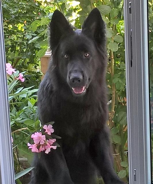 "Hallo, wie geht's?" | Foto: Friedrich Bernhard
