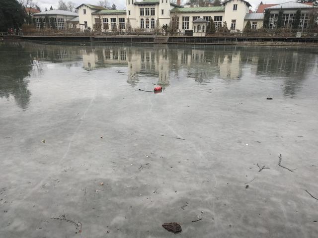 Unnötig: Unbekannte warfen einen Feuerlöscher in den Teich.