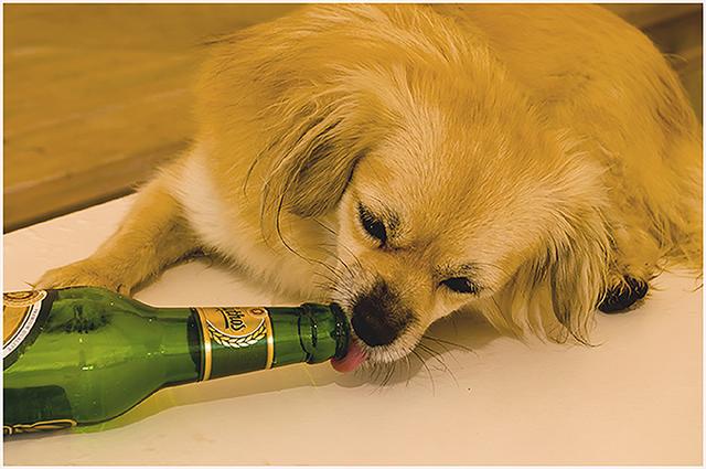 "Ist da noch ein Schluck drin?" | Foto: Traude Moser