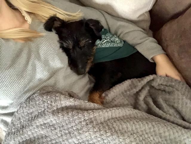 Sie wurde bei einer Billa-Filiale angeleint und nicht mehr abgeholt. Danach verbrachte sie 2 Jahre im Tierheim | Foto: Katrin Schöndorfer