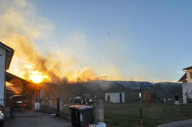 Rund 3.500 Quadratmeter Wiese – in nächster Nähe zu bewohntem Gebiet – stand in Siegendorf in Flammen | Foto: BFKDO-EU