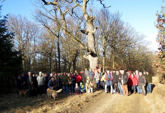 120 Wandersleute beteiligten sich an der Wanderung der Freunde des Hollabrunner Waldes.