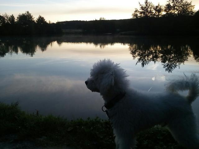 Dabei kann es auch schon mal später werden | Foto: Ingrid Scharl