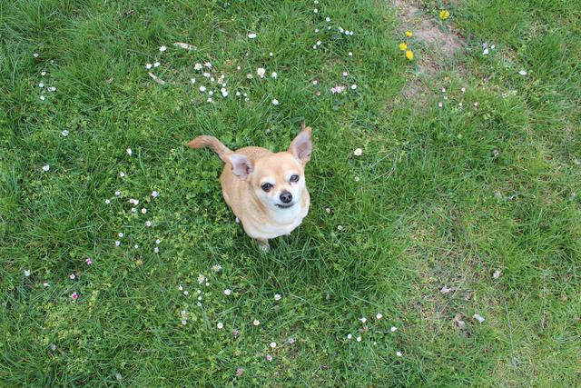 Er liebt es in der Natur zu sein | Foto:  Sarah Pusch