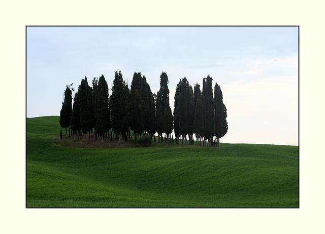 Bild 19: An der Straße von Buonconvento nach Pienza | Foto: © by Helene Kramarcsik