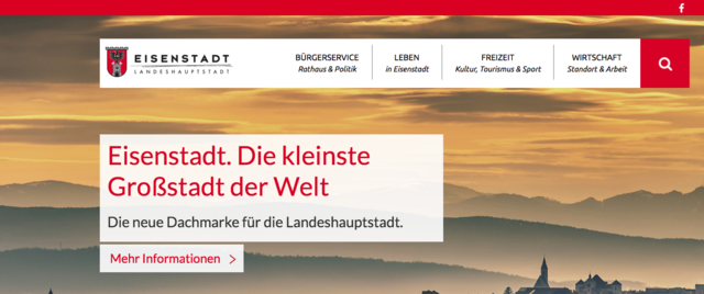 Voller Informationen: die Website der Landeshauptstadt