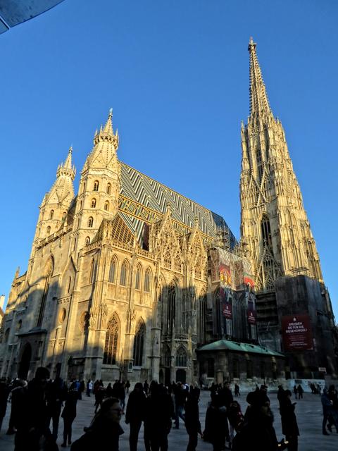 Er ist einfach schön, schön, schön