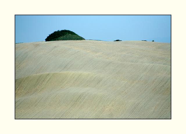 Bild 07: je heller der umgebrochene Boden ist, umso trockener ist das Erdreich an der Oberfläche. | Foto: © by Helene Kramarcsik