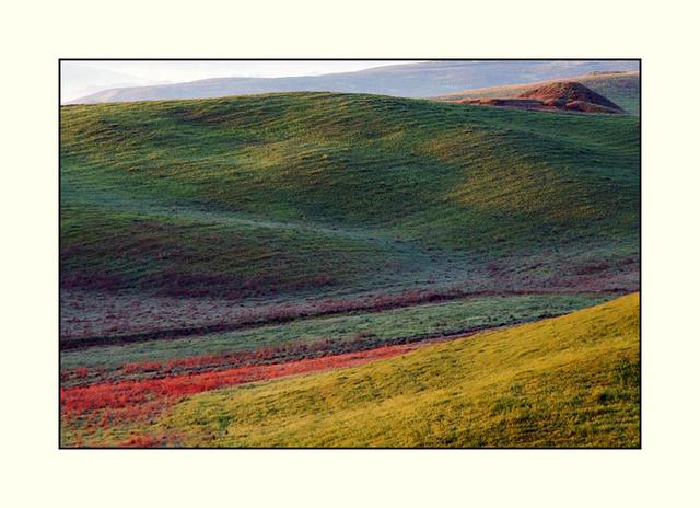 Bild 10: besonders farbenprächtige Hügellandschaft im Licht der Frühjahr- Sonne. | Foto: © by Helene Kramarcsik