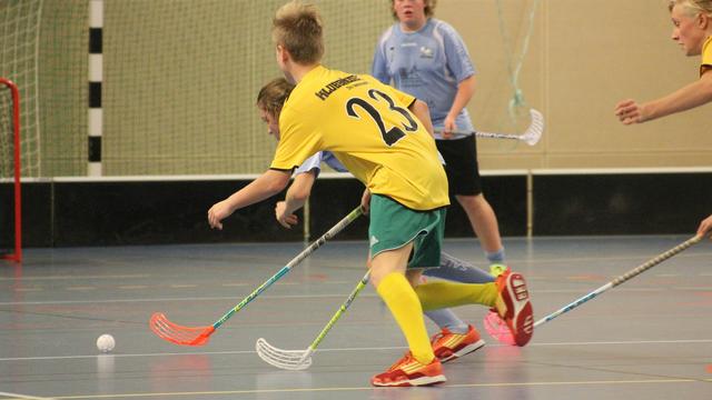 Die Kärntner Floorball-Vereine halten auch Trainings an Schulen ab. | Foto: pixabay/Onemadis