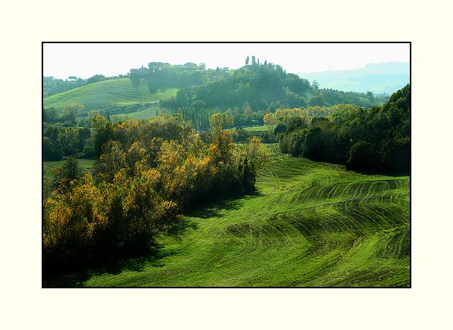 Bild 17: Toskana- Landschaft im Licht des Frühjahrs. Auch wenn es den Eindruck von Herbst erwecken könnte, die jungen frischen Triebe leuchten im Morgenlicht besonders gelb, so als es sich hier um Herbstlaub handelt. | Foto: © by Helene Kramarcsik