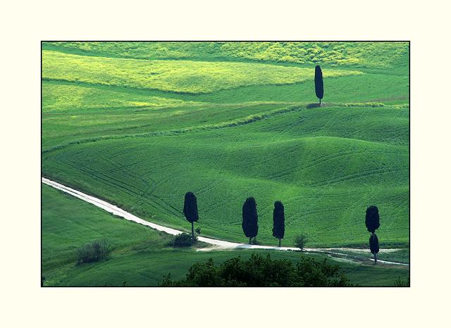 Bild 14: typische Toskana- Landschaft mit Licht- und Kontrast- Nuancen. | Foto: © by Helene Kramarcsik