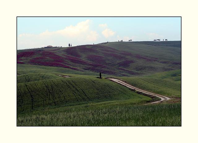Bild 08: typische Hügellandschaft in allen Farbnuancen. | Foto: © by Helene Kramarcsik