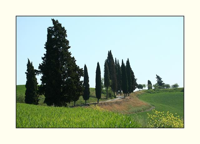 Bild 18: kleine Landstraße im Orcia Tal.  | Foto: © by Helene Kramarcsik