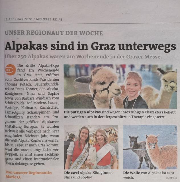Die Alpakas sind in Graz unterwegs......
