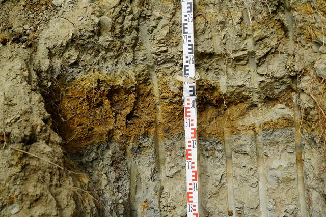 Eingebettet in einer Tonschicht liegt die sogenannte Erzader aus welcher der hochwertige Toneisenstein abgebaut wird.