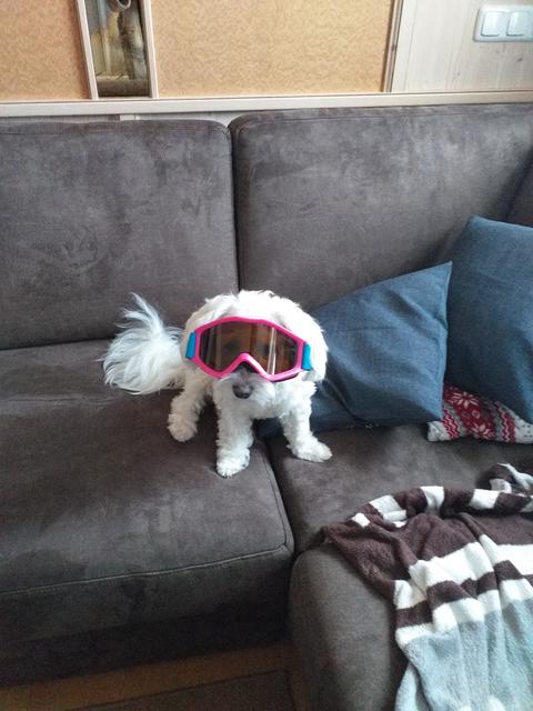 Perfekt ausgestattet für die Piste | Foto: Anita König