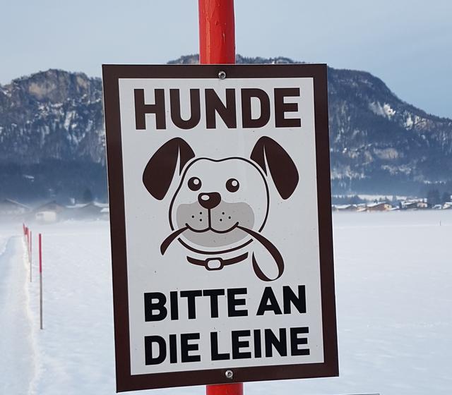 Anfrage im Gemeinderat zur Hundeverordnung.