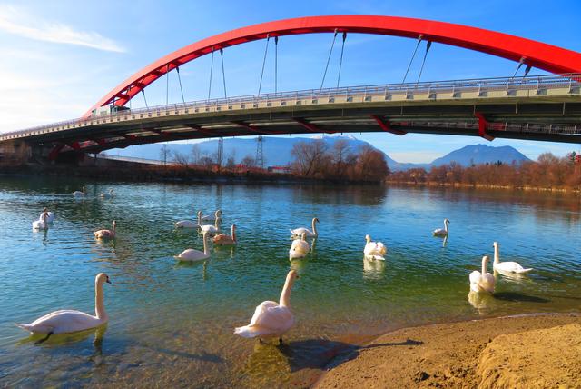 9.1.2020. Wo früher Eisschollen auf der Drau trieben, spielte man heuer "Schwanensee" bei der roten Brücke.