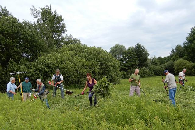 Naturschutzorgane aus dem Bezirk Oberwart bei der Pflege der Wehoferbachwiese in Oberwart.