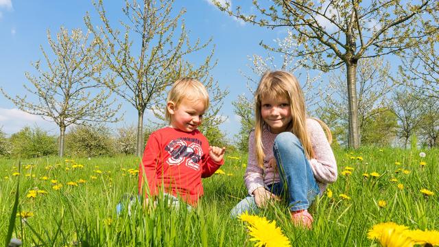 Die ersten Primeln sprießen, Knospen treiben aus: Ist der Frühling jetzt viel früher da?