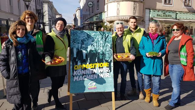 Die Grünen am vergangenen Samstag am Wiener Neustädter Hauptplatz.