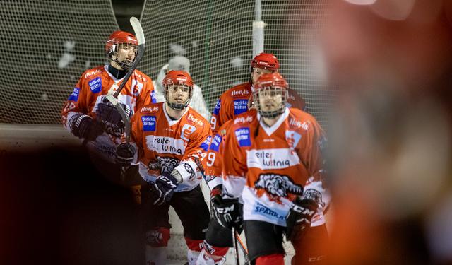 Während Virgen im Finale steht, ist die Saison für die Lienzer Eislöwen nun vorbei.