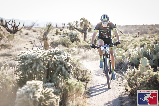 Lukas Kaufmann war unterwegs in Tucson.
