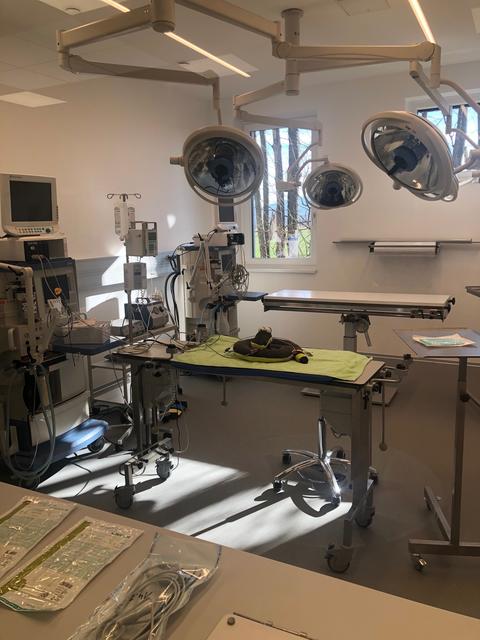 Foto: Silvia Zehentbauer