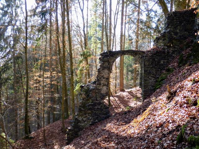 Ruinen der Burg Karlsberg