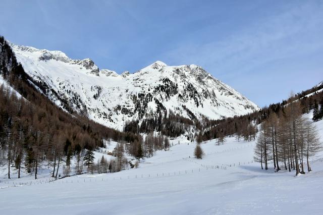 Am Lausbichl mit Blick hinein zur im Sommer bewirtschafteten Mösl Hütte (Bildmitte)