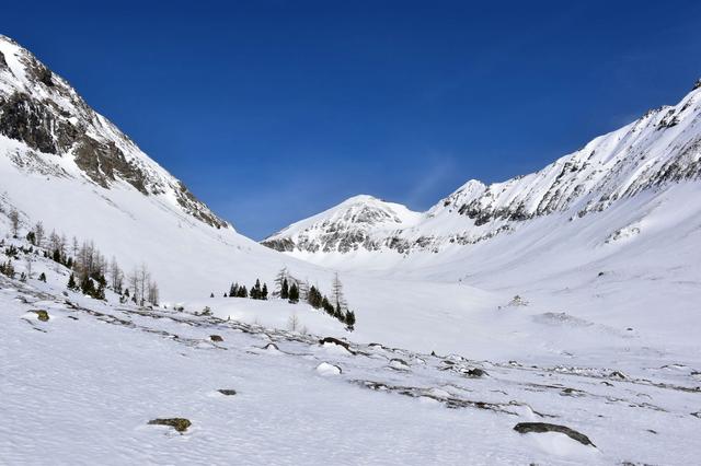 ...ins Mösl Feld hinein...