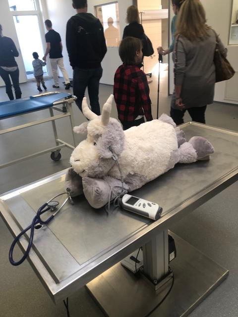 Foto: Silvia Zehentbauer