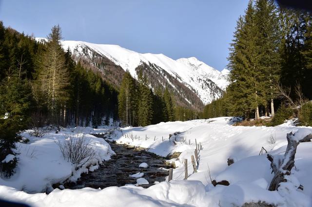 Am Fuße des Prebers geht es auf dem Forstweg ins Prebertal hinein.