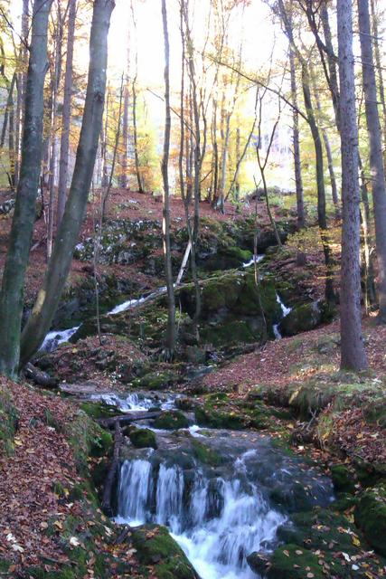 Lebenselixier - WASSER