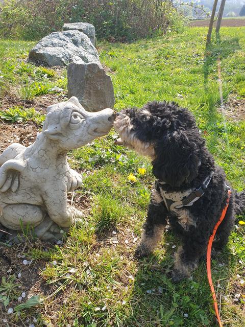 "Wahre Liebe" | Foto: Irene Brandstetter