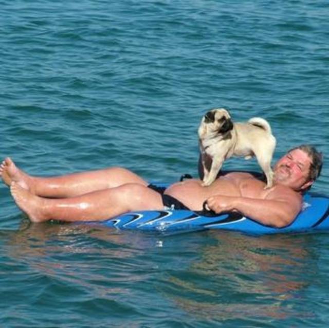 Mops-Bube "Rambo" kennt keine Angst | Foto: Walter Bruckner