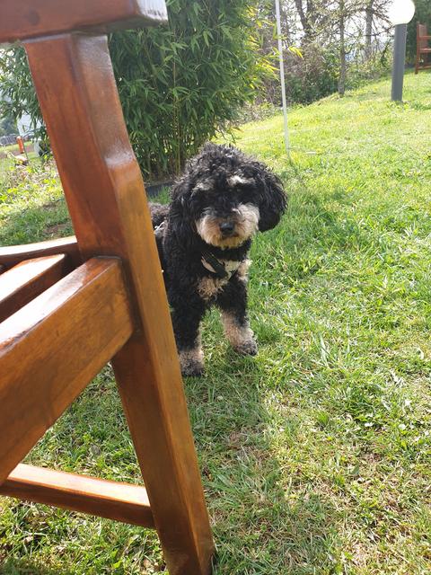 "Spielen wir verstecken?" | Foto: Irene Brandstetter