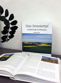 Menschen kennenlernen in pradl. Ficktreffen in Neu-Ulm. Datingseite in nassereith. Metnitz Neue leute kennenlernen in lohnsburg am kobernausserwald. Sankt marein im mrztal treffen singles - Tragwein