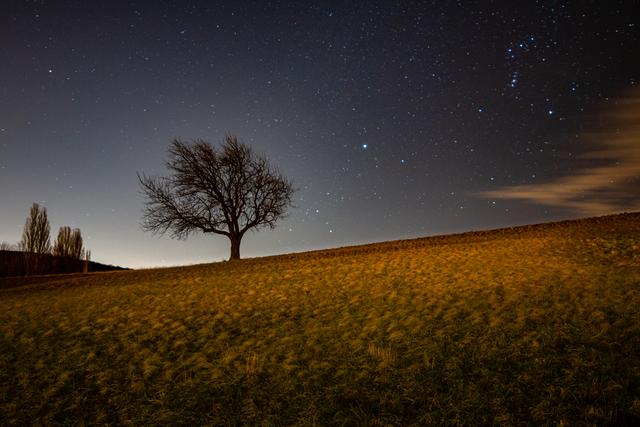 Naturpark Eichenhain bei Maria Gugging in der Nacht Richtung Süden fotografiert. So viele Sterne....wir sind nicht allein