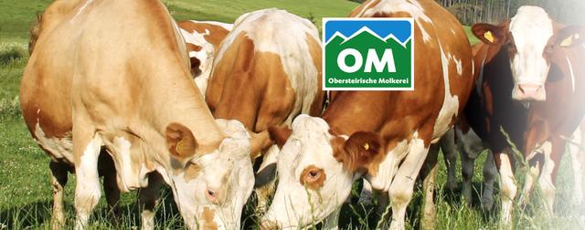 Foto: www.oml.at