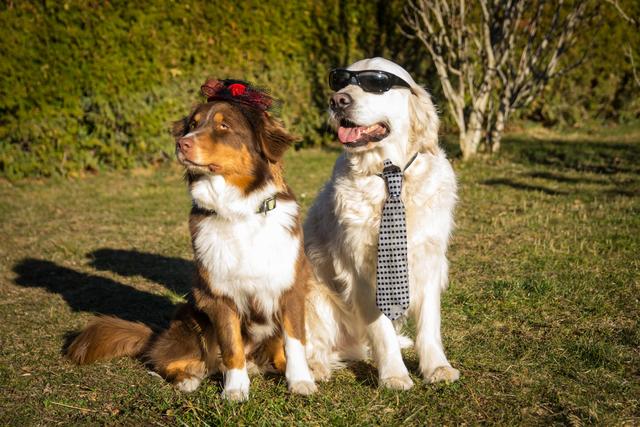 Lucy &amp; Lenny spielen Verkleiden zu Fasching | Foto: Michael Zdesar