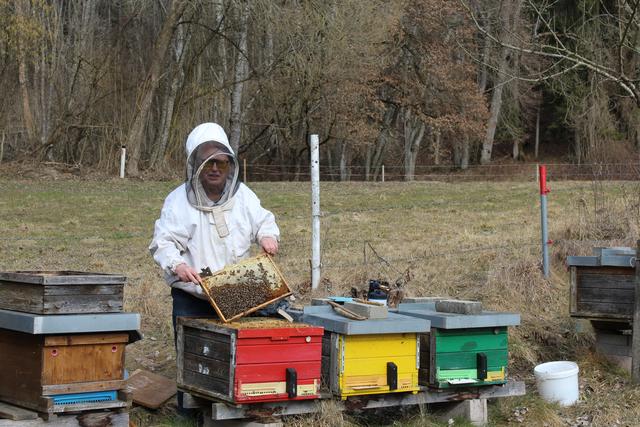 Kurt Zwesper ist der Obman des Bienenschutz- und Zuchtverein Poggersdorf.