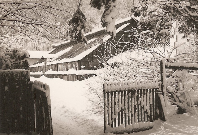 Das Gewächshaus der Gärtnerei Eibenberger in den 1970ern. | Foto: Blazek