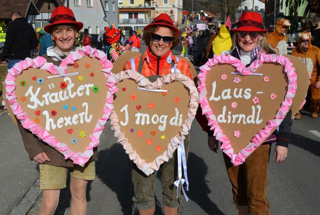 Faschingsumzug in Proleb