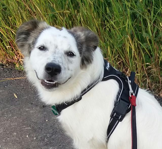 Sally lächelt in jede Kamera, die auf sie gerichtet wird.  | Foto: Tanja Neusiedler