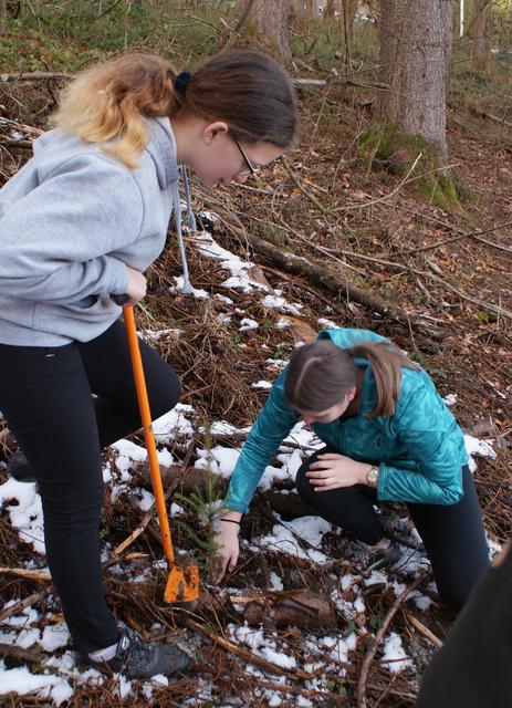 Klimaschutz im Bildungszentrum Gaming: Die Fachschüler beschäftigten sich mit Zukunftsfragen und pflanzten Bäume. | Foto: Bildungszentrum Gaming